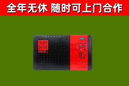 灞桥区回收阿胶
